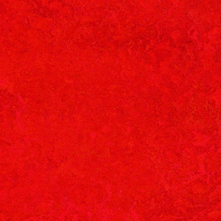 3131 scarlet