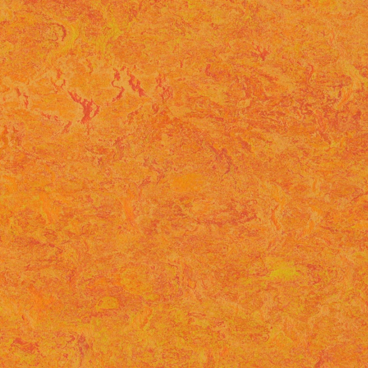 3226 marigold
