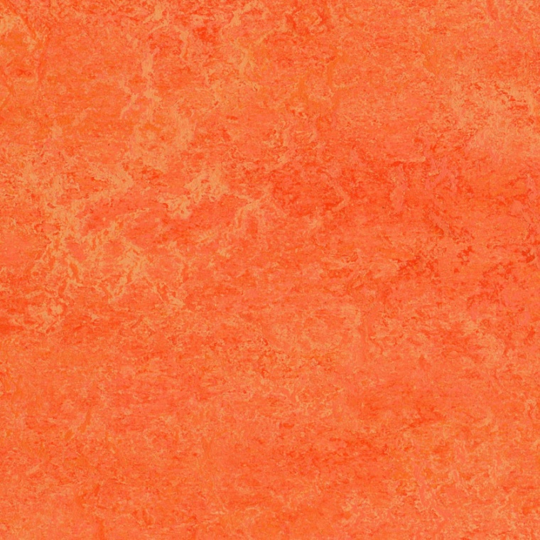 3241 orange sorbet