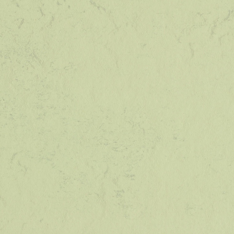 3701 moon