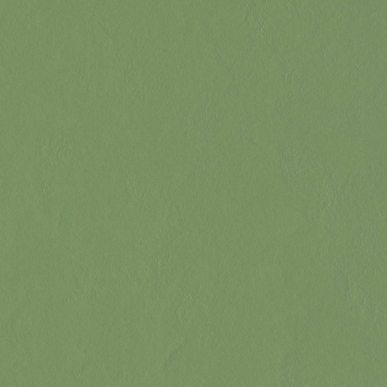 3355 rosemary green