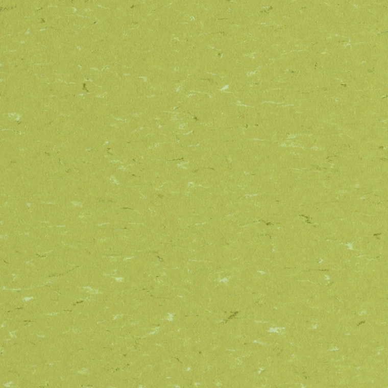 3634 meadow