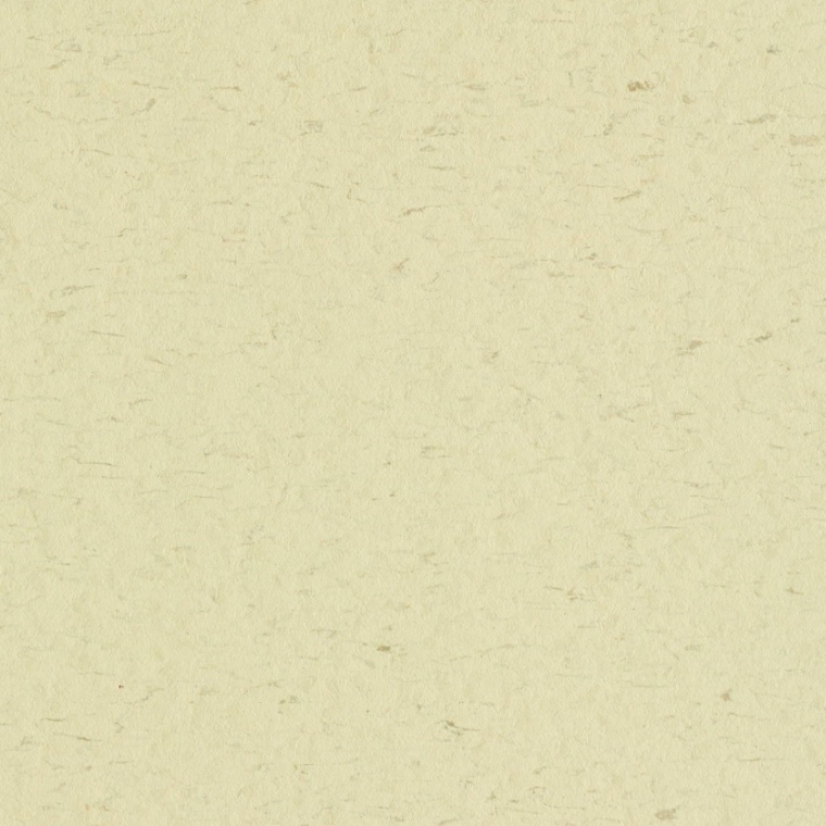 3641 eggshell